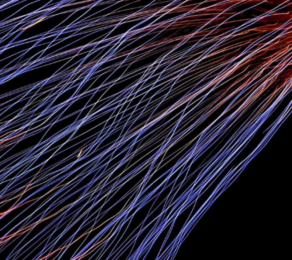 Dessin numérique abstrait : vague de filaments bleus, violets et rouges sur fond noir